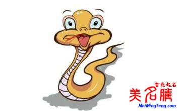 蛇，豬，龍，猴年八月財運到