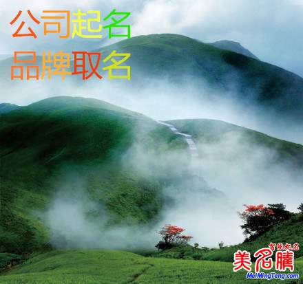 工商總局：企業(yè)名稱(chēng)數(shù)據(jù)庫(kù)將開(kāi)放 公司取名不再難