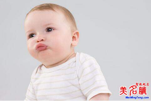 楊姓起名，楊姓屬狗男寶寶起名大全