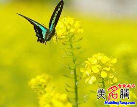 怎樣給自己起網(wǎng)名？