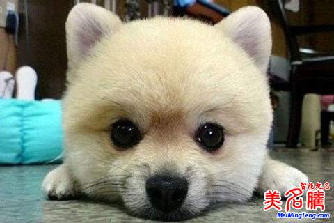 狗年男寶寶起名好聽大氣名字大全2018