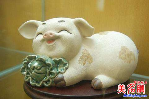 劉姓寶寶屬豬如何起名，劉姓寶寶起名