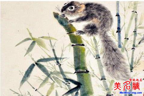 鼠年向姓女孩好聽(tīng)的名字起名大全