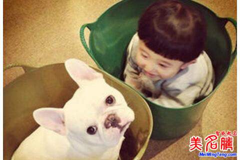 用詩(shī)經(jīng)、楚辭經(jīng)典為寶寶起名