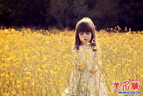 屬金的寶寶名字大全和起名用字