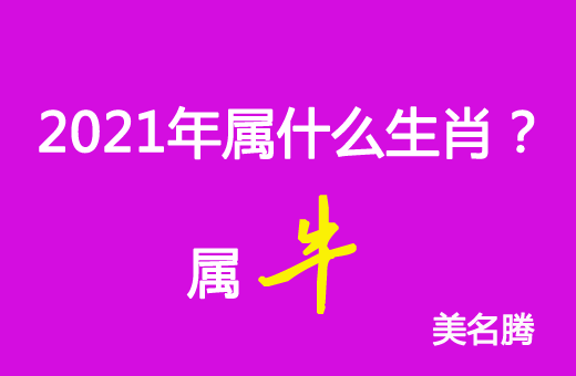 2021年屬什么生肖？2021年屬牛