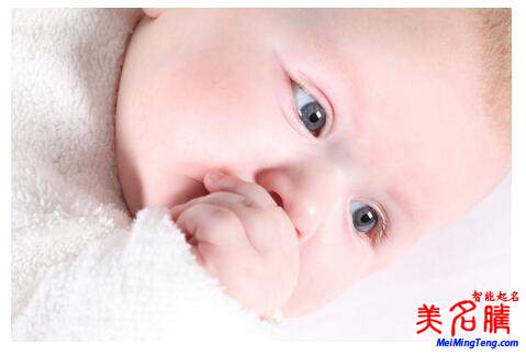 楊姓起名，楊姓屬狗男寶寶起名大全