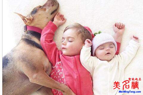 最氣質的女孩詩經(jīng)起名